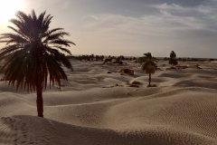 Raid Tunisie 2020