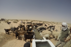 DCIM100GOPROGOPR1122.