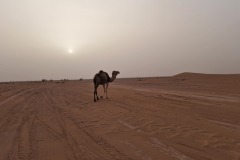 Maroc 2023
