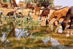 Maroc 2023