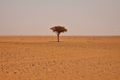 Maroc 2023