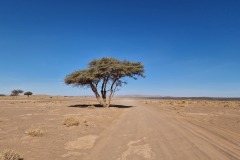 Maroc 2023