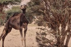 Maroc 2023