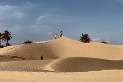 Desert