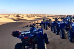 Quads dans le désert