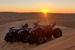 Groupe quad dans le désert
