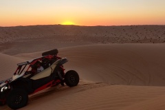 Buggy dans le désert