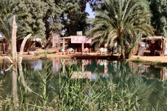 Ksar Ghilane