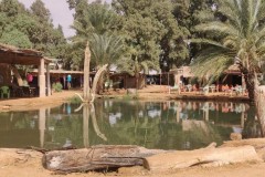 Ksar Ghilane
