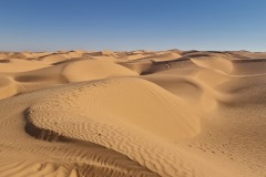 Désert Douz