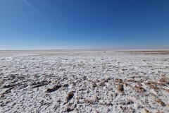 Lac salé